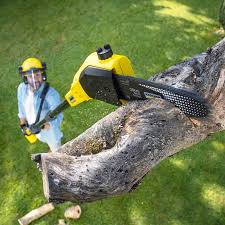 Best Lawn Grading and Leveling  in Dupont, WA